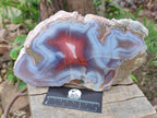 Polished One Side Red Shashe River Agate Slices x 3 From Shashe River, Zimbabwe - Toprock Gemstones and Minerals 