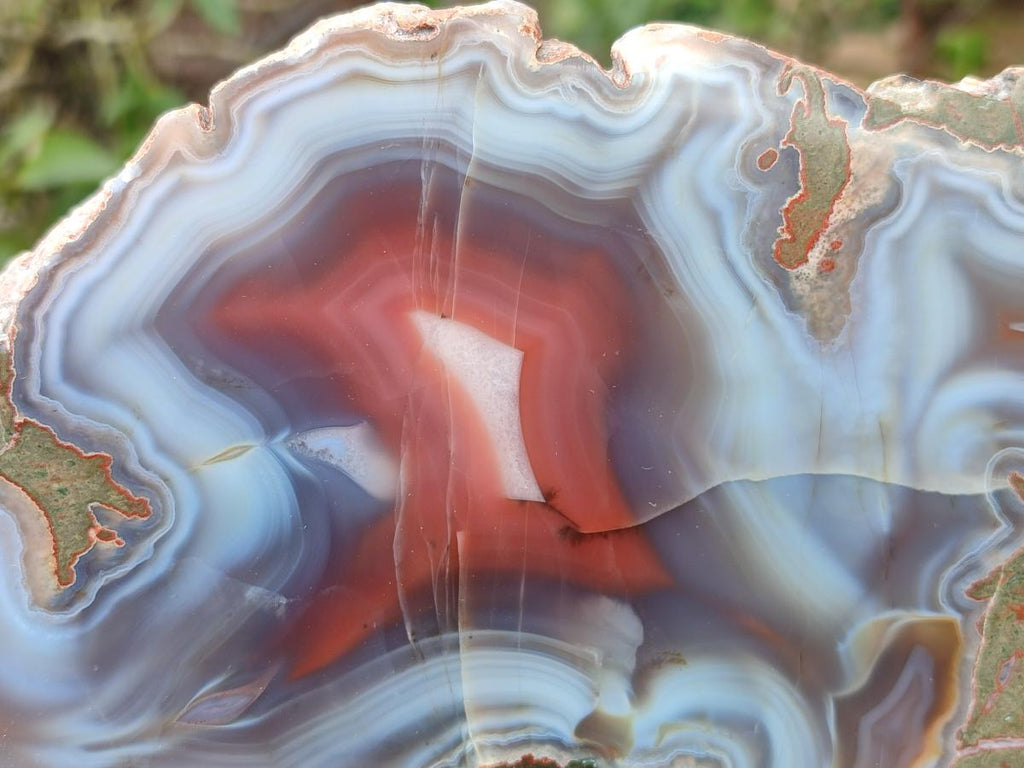 Polished One Side Red Shashe River Agate Slices x 3 From Shashe River, Zimbabwe - Toprock Gemstones and Minerals 