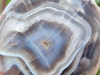 Polished One Side Red Shashe River Agate Slices x 3 From Shashe River, Zimbabwe - Toprock Gemstones and Minerals 