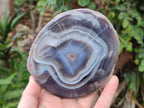 Polished One Side Red Shashe River Agate Slices x 3 From Shashe River, Zimbabwe - Toprock Gemstones and Minerals 