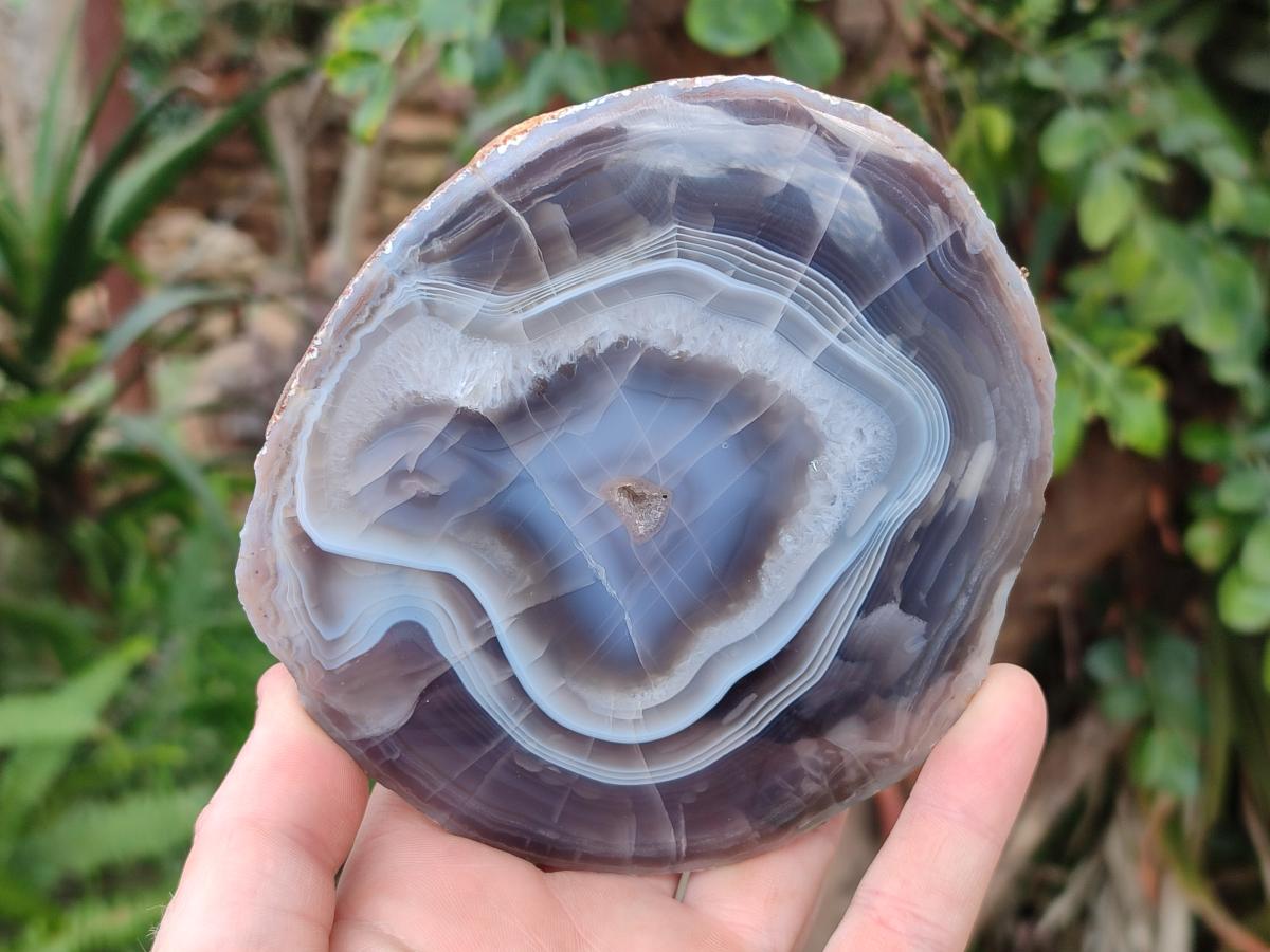 Polished One Side Red Shashe River Agate Slices x 3 From Shashe River, Zimbabwe - Toprock Gemstones and Minerals 