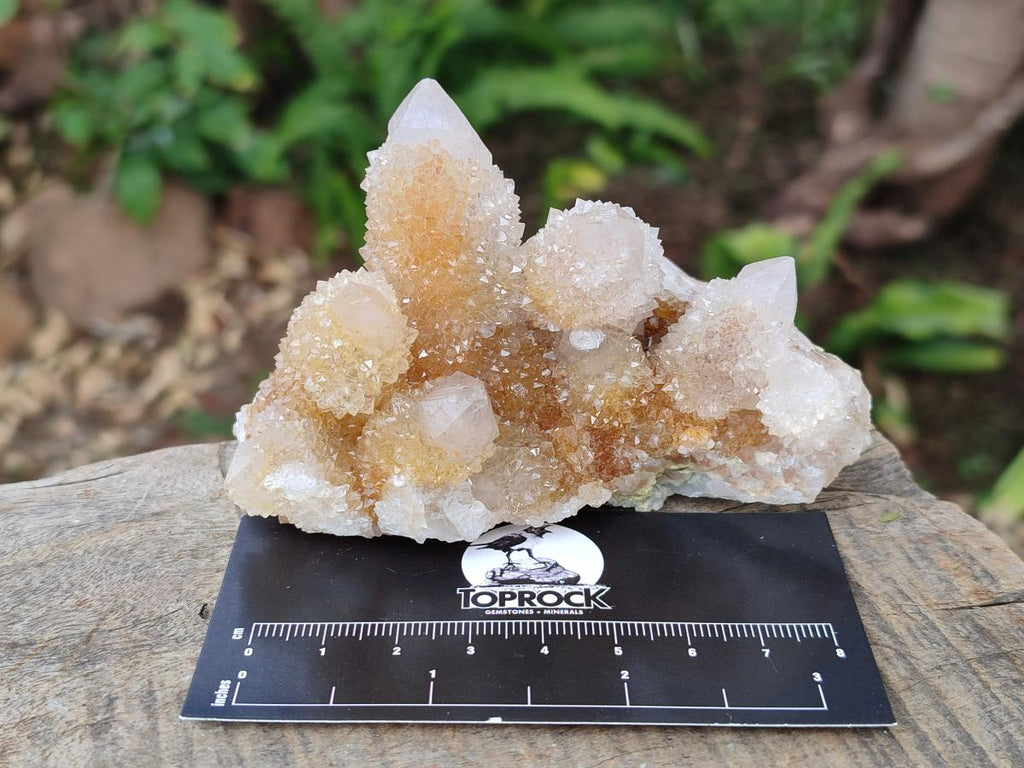 Natural Drusy Fairy Spirit Quartz Clusters x 3 From Boekenhouthoek, South Africa - Toprock Gemstones and Minerals 