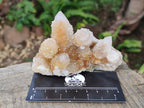 Natural Drusy Fairy Spirit Quartz Clusters x 3 From Boekenhouthoek, South Africa - Toprock Gemstones and Minerals 