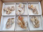 Natural Drusy Fairy Spirit Quartz Clusters x 3 From Boekenhouthoek, South Africa - Toprock Gemstones and Minerals 