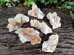 Natural Drusy Fairy Spirit Quartz Clusters x 3 From Boekenhouthoek, South Africa - Toprock Gemstones and Minerals 