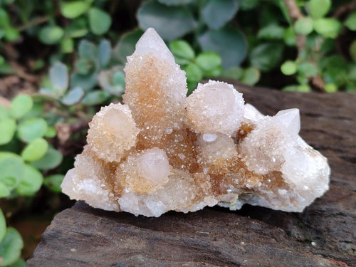 Natural Drusy Fairy Spirit Quartz Clusters x 3 From Boekenhouthoek, South Africa - Toprock Gemstones and Minerals 