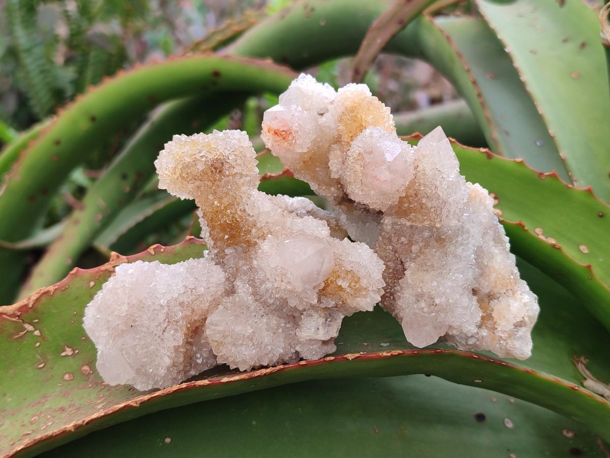 Natural Drusy Fairy Spirit Quartz Clusters x 3 From Boekenhouthoek, South Africa - Toprock Gemstones and Minerals 