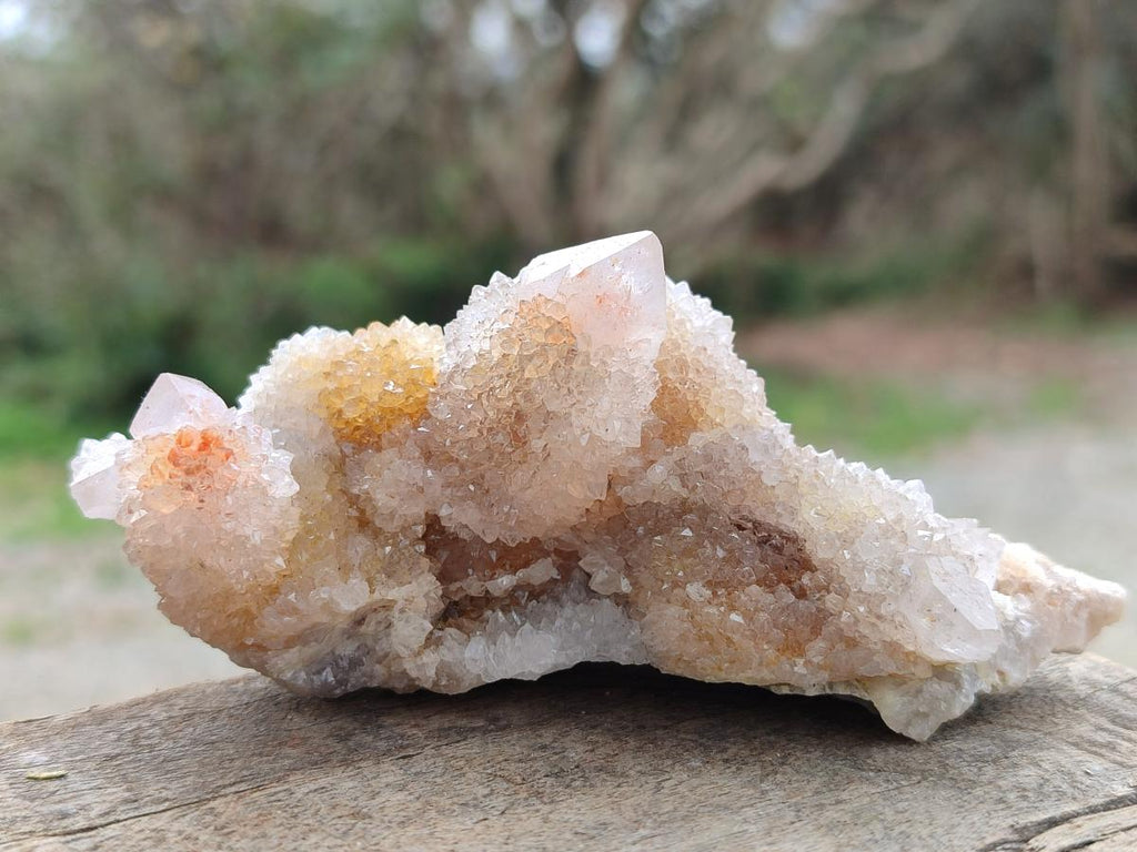 Natural Drusy Fairy Spirit Quartz Clusters x 3 From Boekenhouthoek, South Africa - Toprock Gemstones and Minerals 