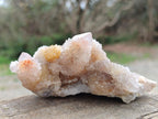 Natural Drusy Fairy Spirit Quartz Clusters x 3 From Boekenhouthoek, South Africa - Toprock Gemstones and Minerals 