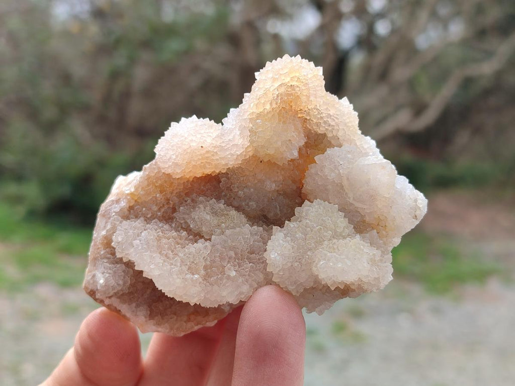 Natural Drusy Fairy Spirit Quartz Clusters x 3 From Boekenhouthoek, South Africa - Toprock Gemstones and Minerals 