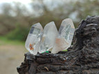 Natural Small Clear Malagasy Quartz Crystals x 1,84 Kg Lot From Madagascar - Toprock Gemstones and Minerals 