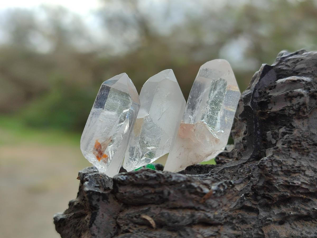 Natural Small Clear Malagasy Quartz Crystals x 1,84 Kg Lot From Madagascar - Toprock Gemstones and Minerals 