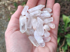 Natural Small Clear Malagasy Quartz Crystals x 1,84 Kg Lot From Madagascar - Toprock Gemstones and Minerals 