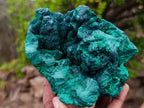 Natural Silky Malachite Specimens x 2 From Kasompe, Congo - Toprock Gemstones and Minerals 
