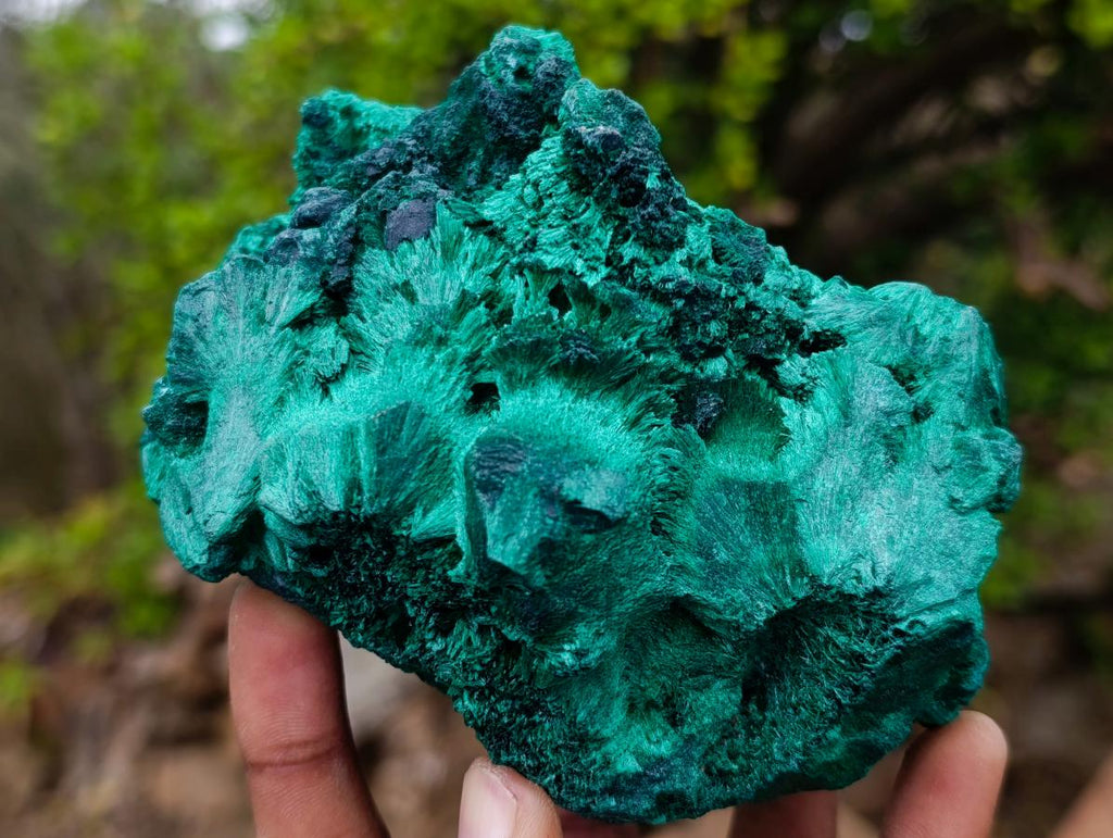 Natural Silky Malachite Specimens x 2 From Kasompe, Congo - Toprock Gemstones and Minerals 