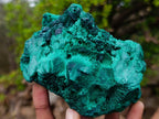 Natural Silky Malachite Specimens x 2 From Kasompe, Congo - Toprock Gemstones and Minerals 