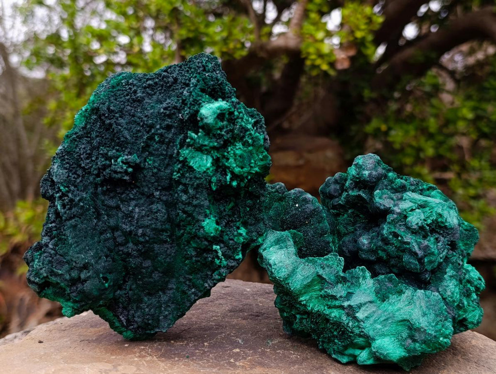 Natural Silky Malachite Specimens x 2 From Kasompe, Congo - Toprock Gemstones and Minerals 