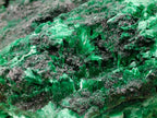 Natural Silky Malachite Specimens x 2 From Kasompe, Congo - Toprock Gemstones and Minerals 