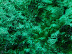 Natural Silky Malachite Specimens x 2 From Kasompe, Congo - Toprock Gemstones and Minerals 
