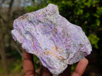 Natural Cobbed Stichtite Specimens x 4 From Barberton, South Africa - Toprock Gemstones and Minerals 