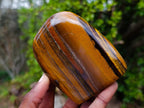 Polished Golden Tigers Eye Standing Display Pieces x 3 From Prieska, South Africa - Toprock Gemstones and Minerals 