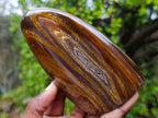 Polished Golden Tigers Eye Standing Display Pieces x 3 From Prieska, South Africa - Toprock Gemstones and Minerals 