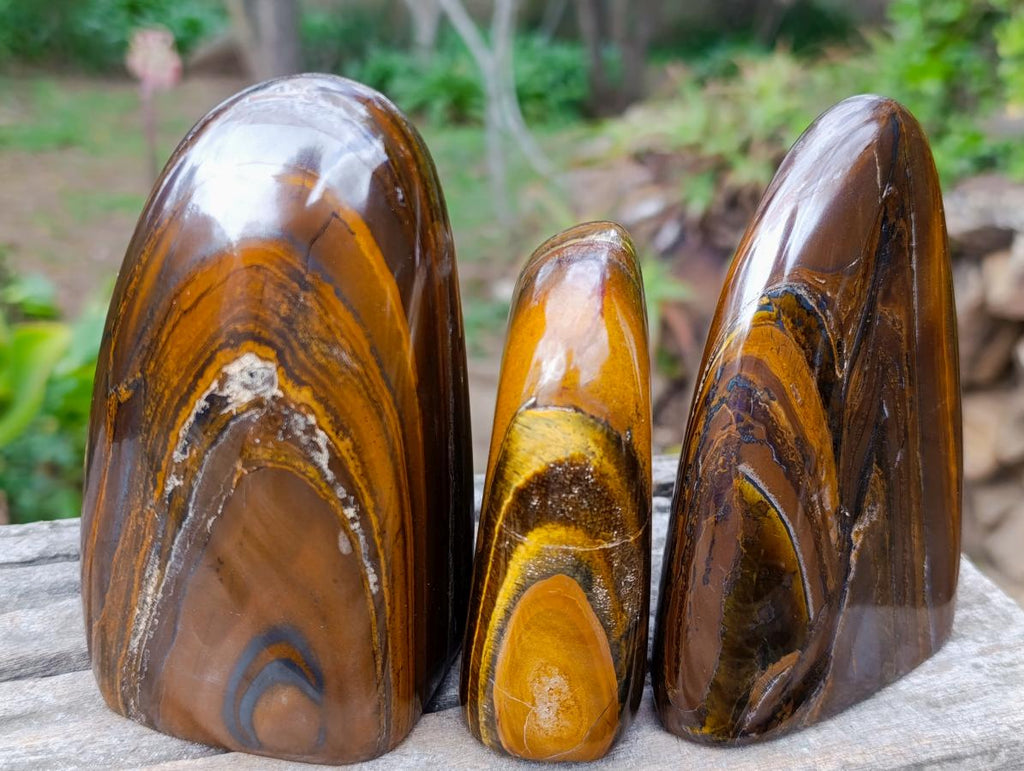 Polished Golden Tigers Eye Standing Display Pieces x 3 From Prieska, South Africa - Toprock Gemstones and Minerals 