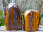 Polished Golden Tigers Eye Standing Display Pieces x 3 From Prieska, South Africa - Toprock Gemstones and Minerals 