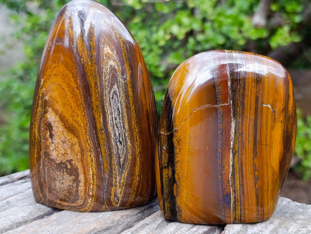 Polished Golden Tigers Eye Standing Display Pieces x 3 From Prieska, South Africa - Toprock Gemstones and Minerals 