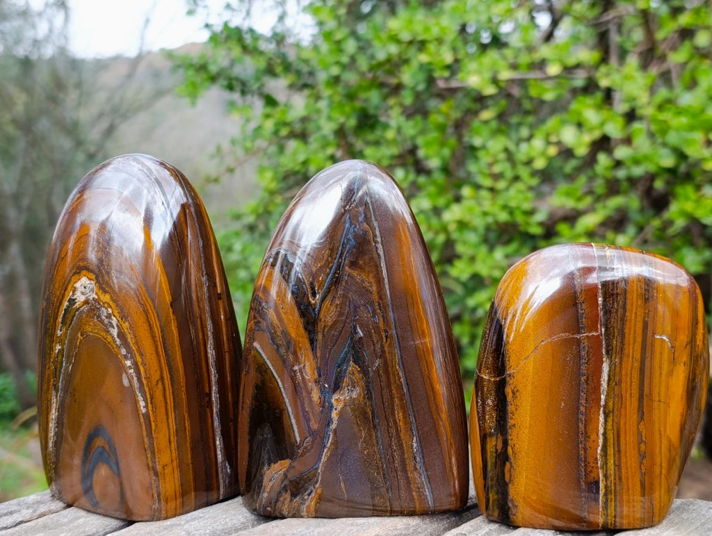 Polished Golden Tigers Eye Standing Display Pieces x 3 From Prieska, South Africa - Toprock Gemstones and Minerals 