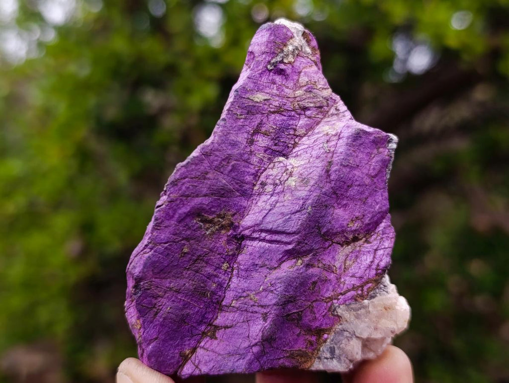 Natural Metallic Cobbed Purpurite Specimens x 12 From Erongo, Namibia - Toprock Gemstones and Minerals 