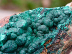Natural Botryoidal Crystalline Malachite Specimens x 4 From Tenke Fungurume, Congo - Toprock Gemstones and Minerals 
