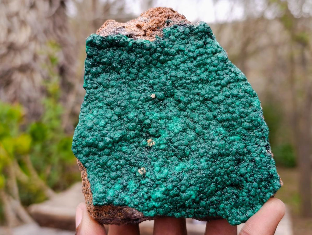 Natural Botryoidal Crystalline Malachite Specimens x 4 From Tenke Fungurume, Congo - Toprock Gemstones and Minerals 