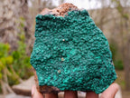 Natural Botryoidal Crystalline Malachite Specimens x 4 From Tenke Fungurume, Congo - Toprock Gemstones and Minerals 