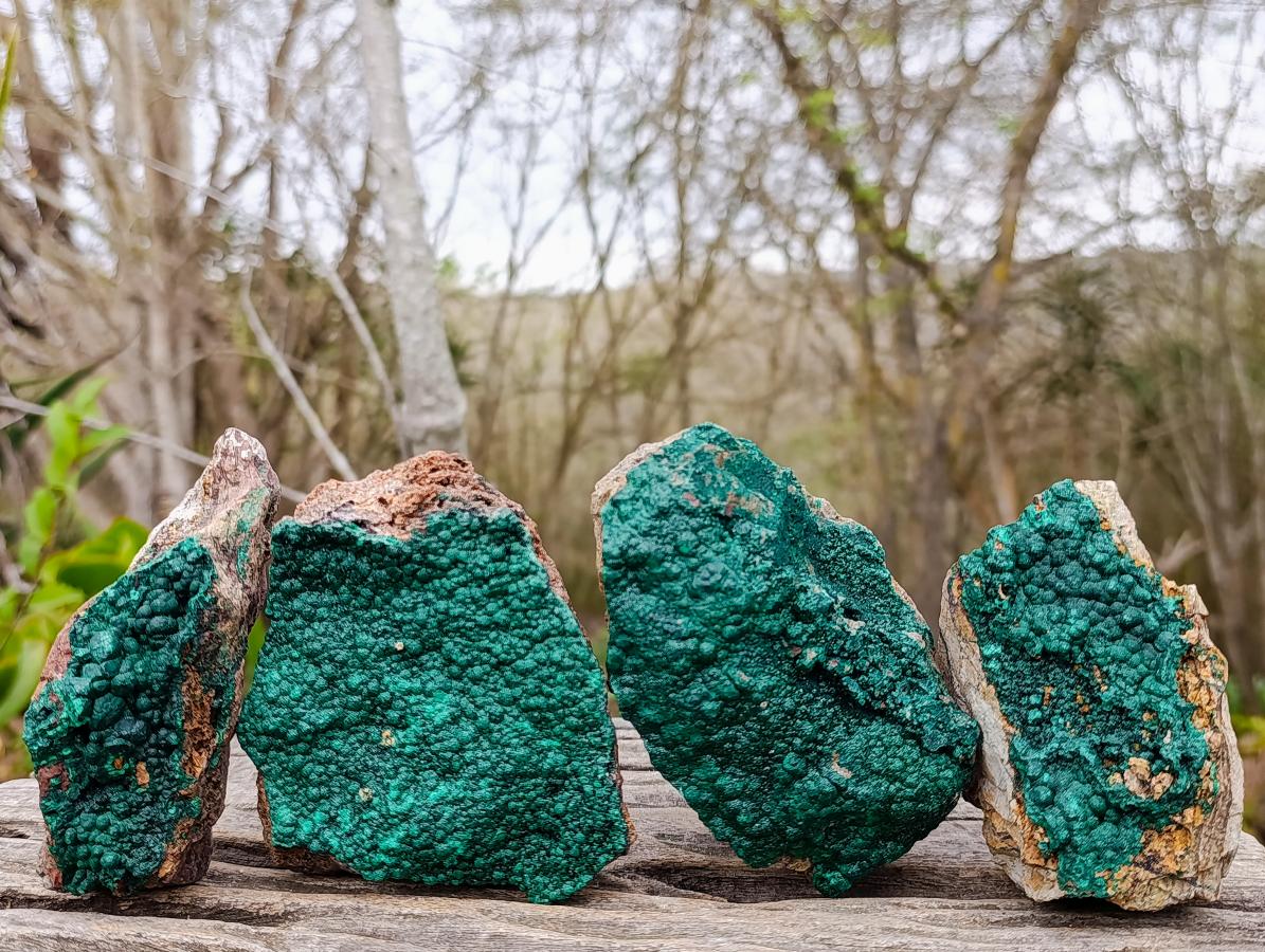 Natural Botryoidal Crystalline Malachite Specimens x 4 From Tenke Fungurume, Congo - Toprock Gemstones and Minerals 