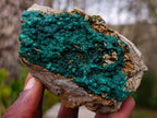 Natural Botryoidal Crystalline Malachite Specimens x 4 From Tenke Fungurume, Congo - Toprock Gemstones and Minerals 