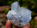 Natural Blue Celestite Specimens x 12 From Sakoany, Madagascar - Toprock Gemstones and Minerals 