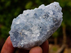 Natural Blue Celestite Specimens x 12 From Sakoany, Madagascar - Toprock Gemstones and Minerals 