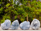 Natural Blue Celestite Specimens x 12 From Sakoany, Madagascar - Toprock Gemstones and Minerals 