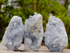 Natural Blue Celestite Specimens x 12 From Sakoany, Madagascar - Toprock Gemstones and Minerals 