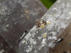 Natural Large Smokey Quartz Crystals with Associated Minerals x 2 From Erongo, Namibia - Toprock Gemstones and Minerals 