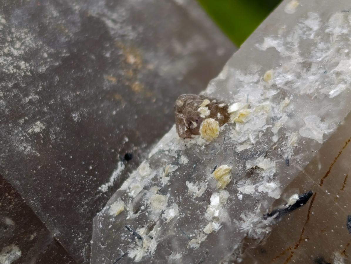 Natural Large Smokey Quartz Crystals with Associated Minerals x 2 From Erongo, Namibia - Toprock Gemstones and Minerals 