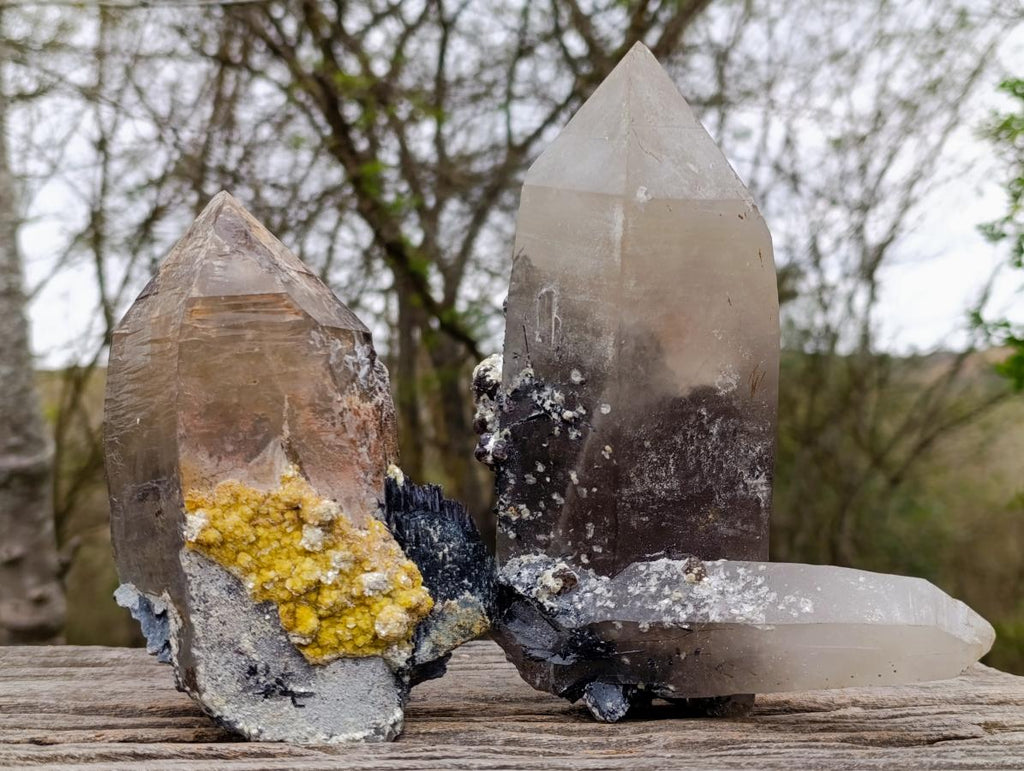 Natural Large Smokey Quartz Crystals with Associated Minerals x 2 From Erongo, Namibia - Toprock Gemstones and Minerals 