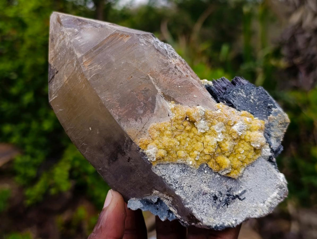Natural Large Smokey Quartz Crystals with Associated Minerals x 2 From Erongo, Namibia - Toprock Gemstones and Minerals 