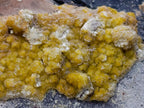 Natural Large Smokey Quartz Crystals with Associated Minerals x 2 From Erongo, Namibia - Toprock Gemstones and Minerals 