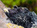 Natural Large Smokey Quartz Crystals with Associated Minerals x 2 From Erongo, Namibia - Toprock Gemstones and Minerals 