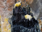 Natural Large Smokey Quartz Crystals with Associated Minerals x 2 From Erongo, Namibia - Toprock Gemstones and Minerals 