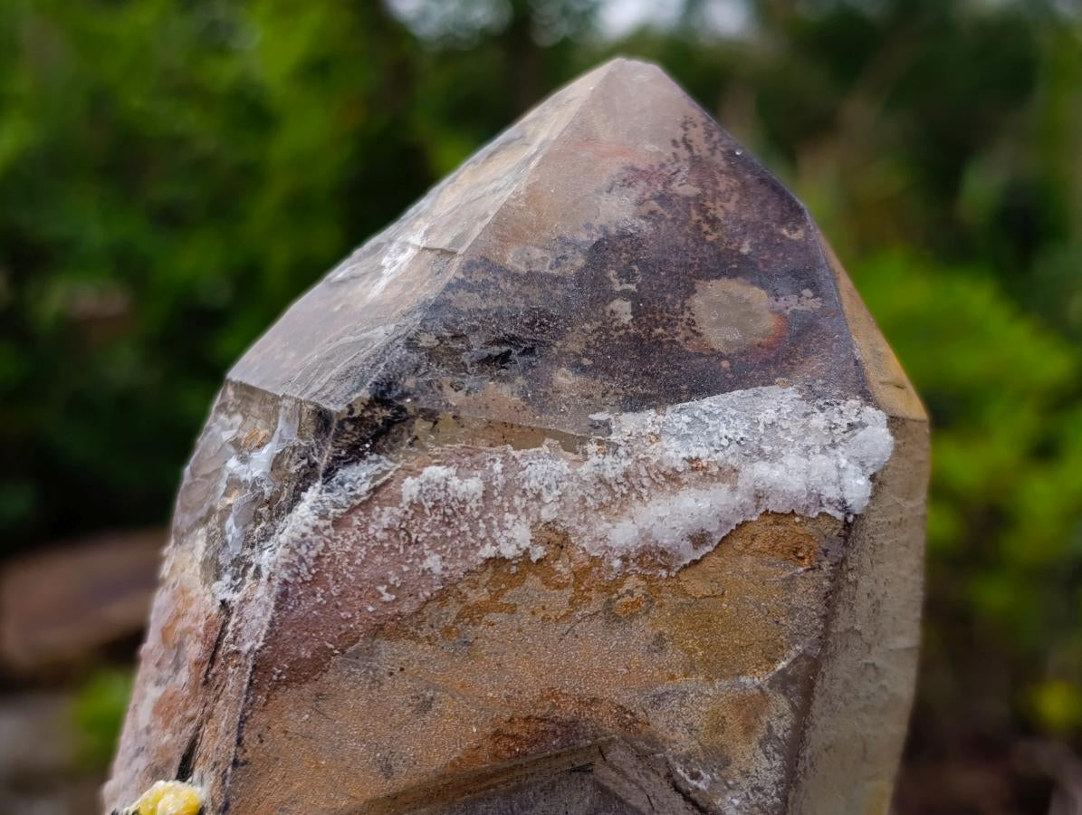 Natural Large Smokey Quartz Crystals with Associated Minerals x 2 From Erongo, Namibia - Toprock Gemstones and Minerals 