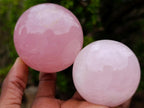 Polished Gemmy Star Rose Quartz Spheres x 4 From Madagascar - Toprock Gemstones and Minerals 