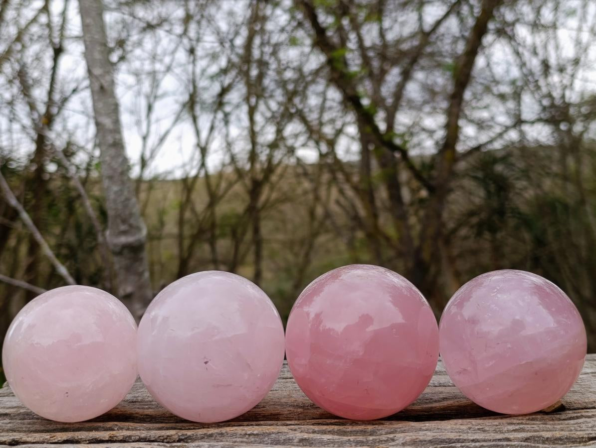 Polished Gemmy Star Rose Quartz Spheres x 4 From Madagascar - Toprock Gemstones and Minerals 